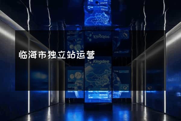 临海市独立站运营