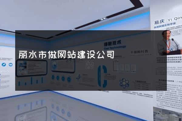 丽水市做网站建设公司