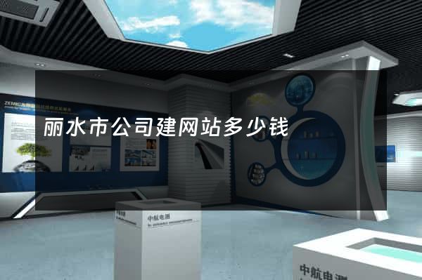丽水市公司建网站多少钱