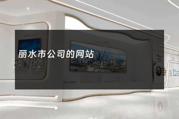 丽水市公司的网站