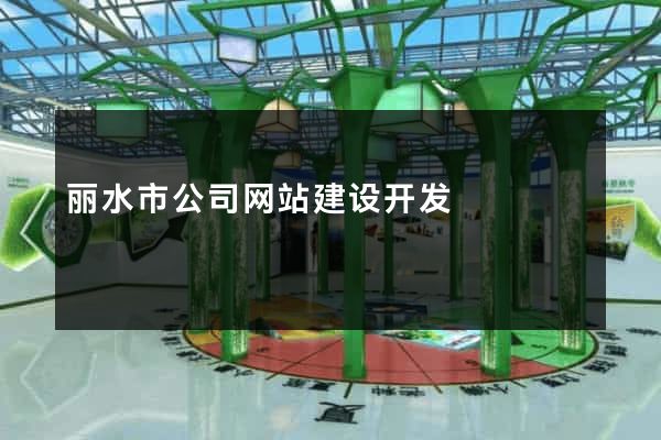 丽水市公司网站建设开发