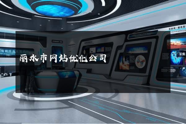 丽水市网站优化公司