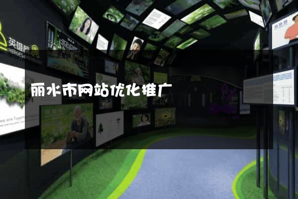 丽水市网站优化推广