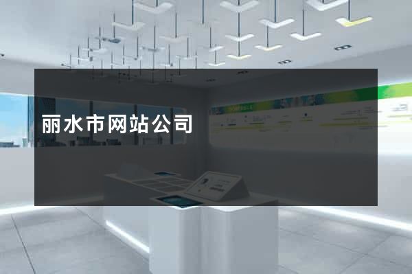 丽水市网站公司