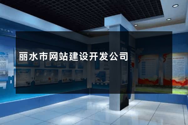 丽水市网站建设开发公司