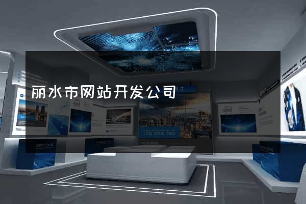 丽水市网站开发公司