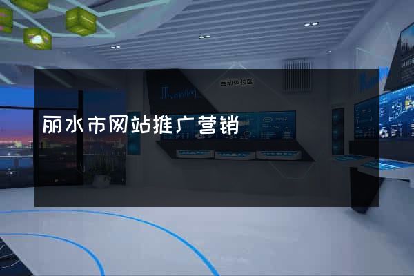 丽水市网站推广营销