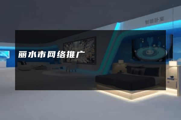丽水市网络推广