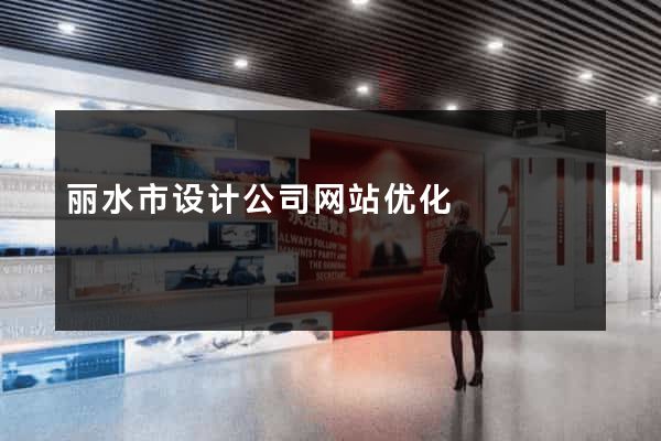 丽水市设计公司网站优化