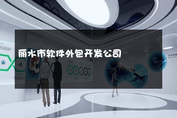 丽水市软件外包开发公司