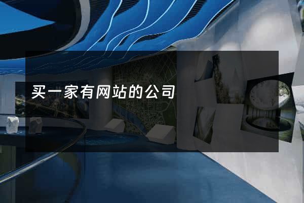 买一家有网站的公司