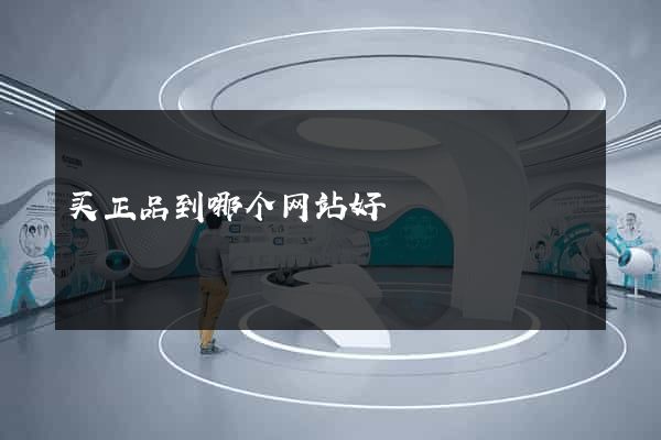 买正品到哪个网站好