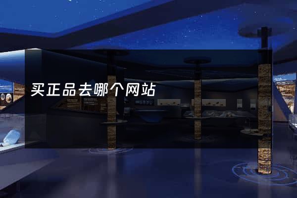 买正品去哪个网站