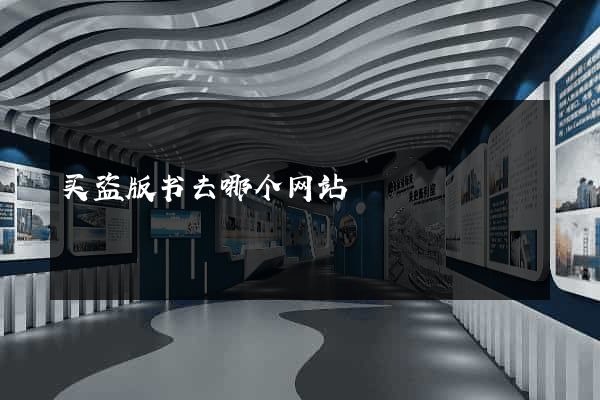 买盗版书去哪个网站