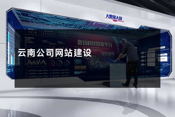 云南公司网站建设