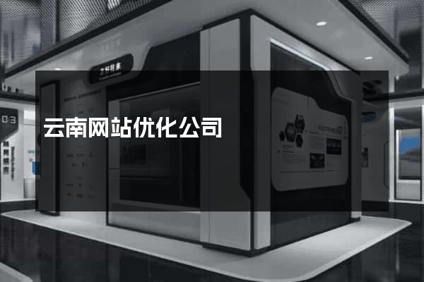 云南网站优化公司