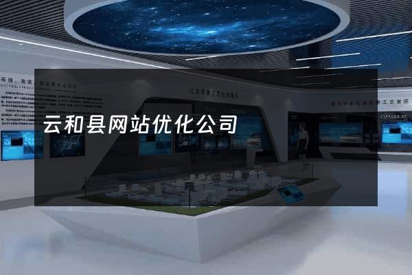 云和县网站优化公司