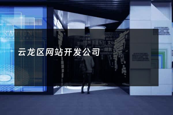 云龙区网站开发公司