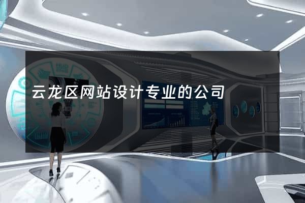 云龙区网站设计专业的公司