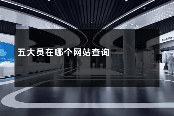五大员在哪个网站查询