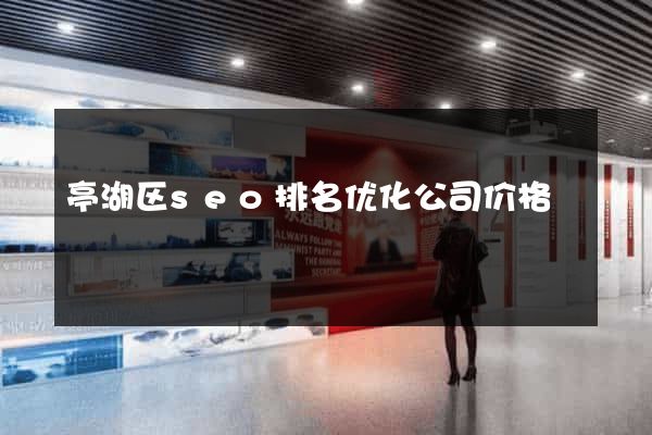 亭湖区seo排名优化公司价格