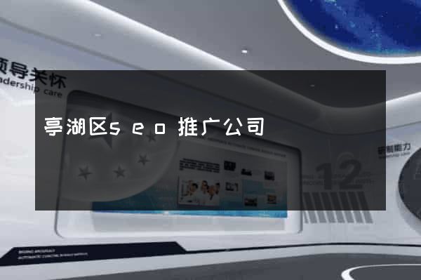 亭湖区seo推广公司