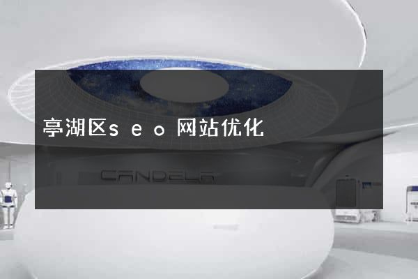 亭湖区seo网站优化