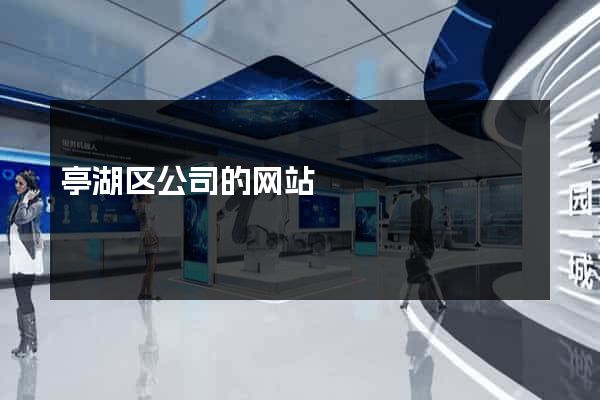 亭湖区公司的网站