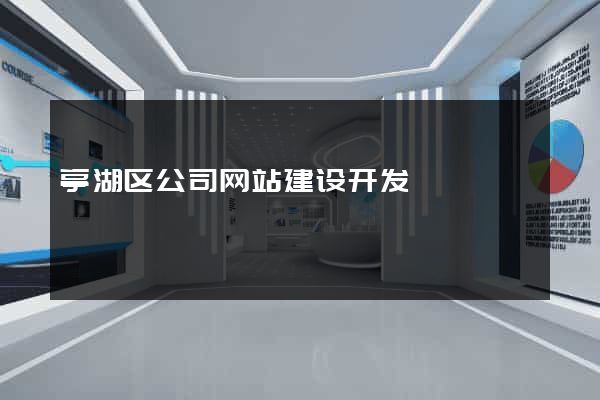 亭湖区公司网站建设开发