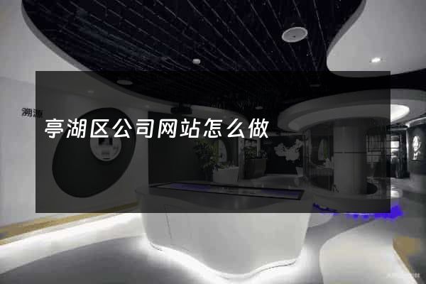 亭湖区公司网站怎么做