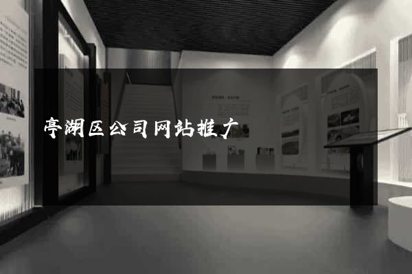 亭湖区公司网站推广