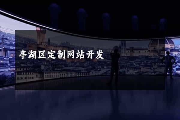 亭湖区定制网站开发