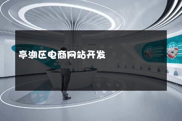亭湖区电商网站开发