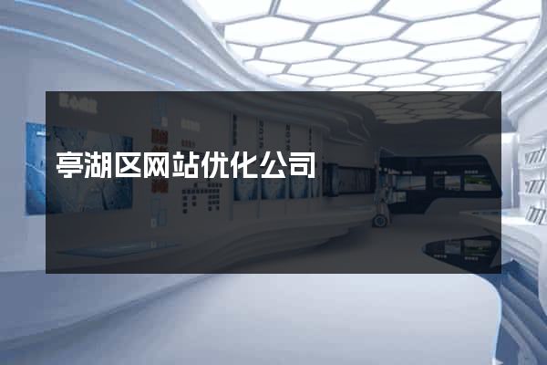 亭湖区网站优化公司