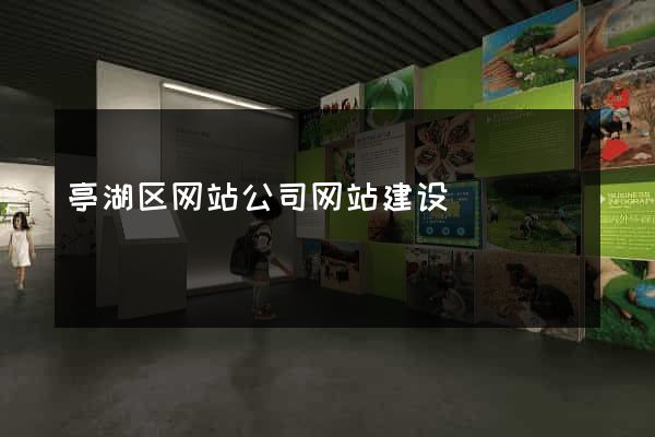 亭湖区网站公司网站建设
