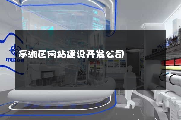 亭湖区网站建设开发公司