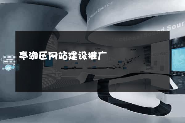 亭湖区网站建设推广
