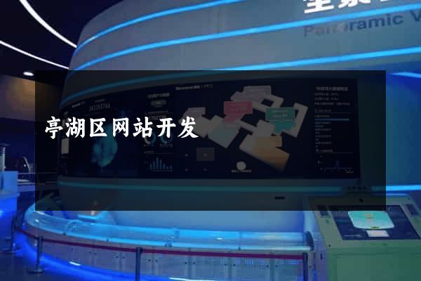 亭湖区网站开发