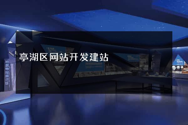 亭湖区网站开发建站