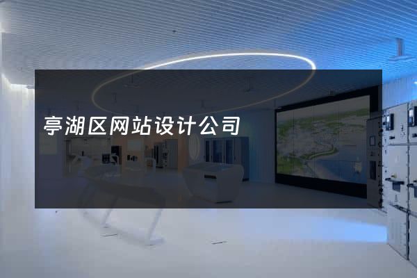 亭湖区网站设计公司