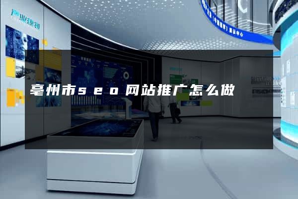 亳州市seo网站推广怎么做