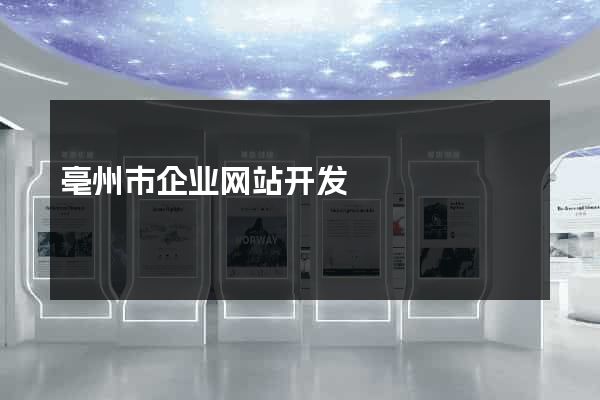 亳州市企业网站开发