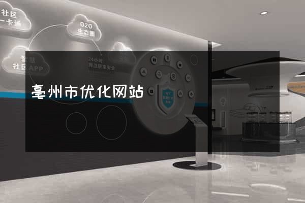 亳州市优化网站
