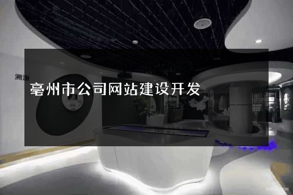 亳州市公司网站建设开发