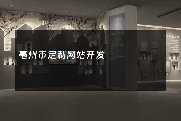 亳州市定制网站开发