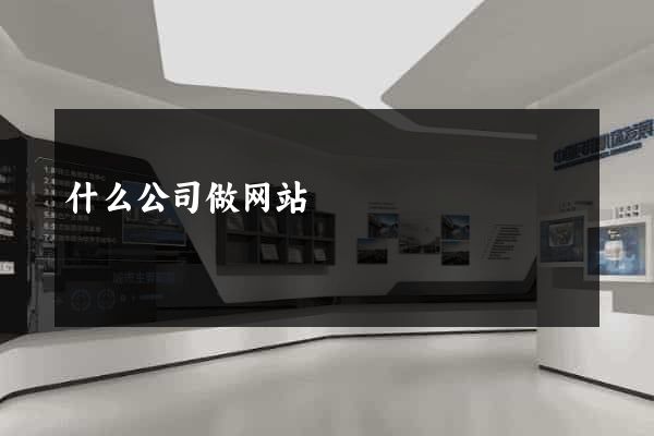 什么公司做网站