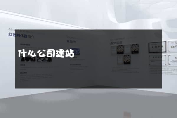 什么公司建站