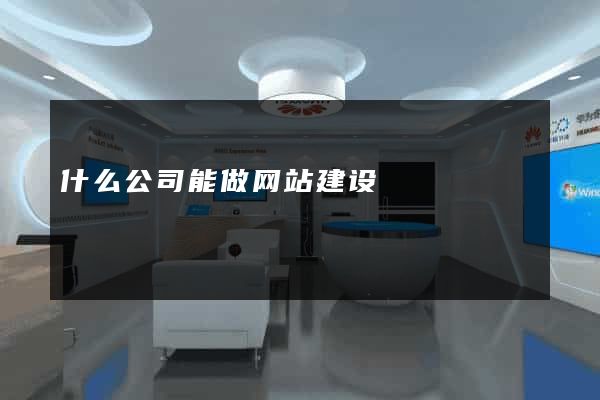 什么公司能做网站建设