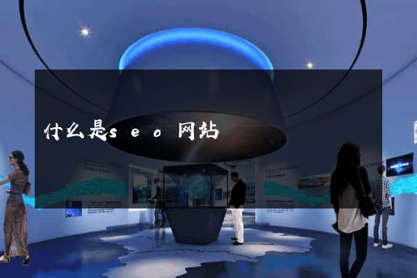 什么是seo网站