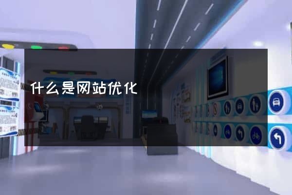 什么是网站优化